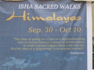 jaggi-yoga-day-chennai-36