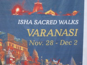 jaggi-yoga-day-chennai-37