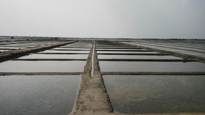 உற்பத்தியில் இல்லாத உப்பளம்