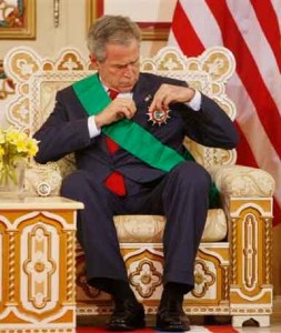 bush_africa-thumb