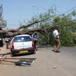 மரியம்பிச்சை இருந்தாலும் ரவுடி, செத்தாலும் ரவுடி – நேரடி ரிப்போர்ட், படங்கள், வரலாறு!