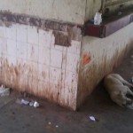 பயம்-5