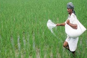 உரமானியம்-வெட்டு
