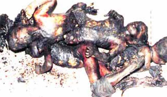 நரோடா-பாட்டியா-1 நரோடா பாட்டியா