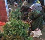 06-spinach-sale-koyambedu-slider
