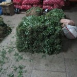 keerai-women-01