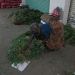 keerai-women-02