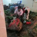 keerai-women-07
