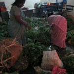 keerai-women-08