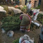 keerai-women-09