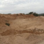 periyathazhai-26