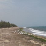 periyathazhai-37