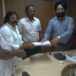 tvl-garnet-collectorate-7