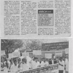 mineral-sand-news