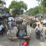 vilathikulam-sand-issue-02