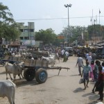 vilathikulam-sand-issue-03