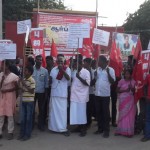 rajapalayam-ramco-3