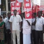 rajapalayam-ramco-4