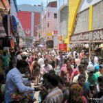 tnagar-crow-2