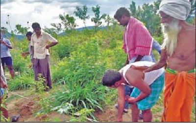 இயற்கை வேளாண் பயிற்சி இயற்கை வேளாண் பயிற்சி