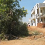 usilai-pothu-pathai-07