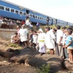 hosur-vivimu-1