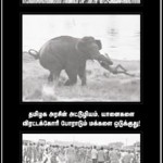 notice-4