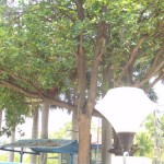 கார்போரண்டம் ஆலையின் முகப்பிலே வைக்கப்பட்டிருக்கும் கேமரா.