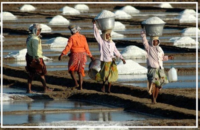 உப்பளம்