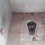ukkadai-10