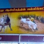 jallikattu-2
