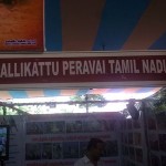 jallikattu-4