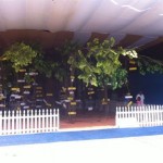 sanatan-tree-3