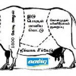 aavin