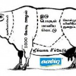 aavin-slider
