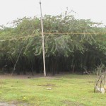 ariyalur-school-01