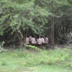 ariyalur-school-09