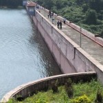 இனவெறி கேரள எம்எல்ஏ பிஜூ மோள் உருவ பொம்மை எரிப்பு