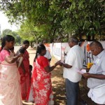 pevimu-tasmac-campaign-collector-office-7
