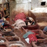 Morocco_Fez_Tanneries_006