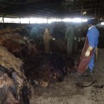 ethiopia-raw-yard