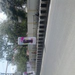 jaya-birthday-photos-06