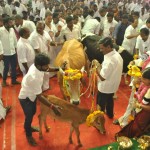 jaya-birthday-photos-12
