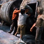 kanpur-tannery