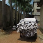 leather-in-tannery