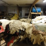 tannery-stacks-of-leather