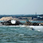 Indian-Rare-Earth
