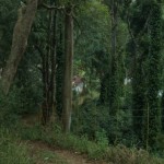 கொடைக்கானல் சரணாலய திட்டத்தை இழுத்து மூடுவோம்!