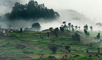 கொடைக்கானல் மலை கொடைக்கானல் மலை