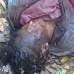 mahalakshmi-killed-by-tiger-4
